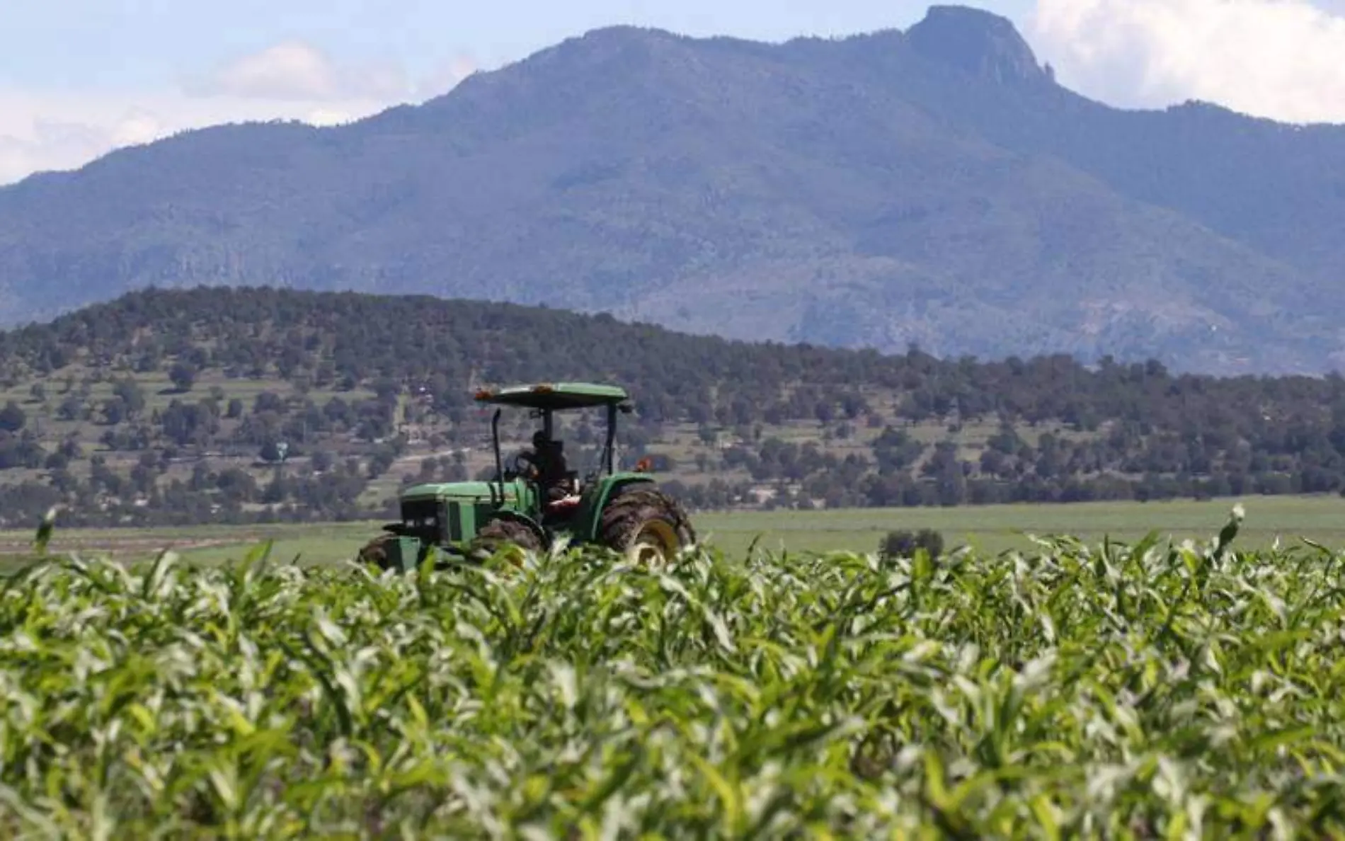 Agricultura agricultores campo  cuartoscuro